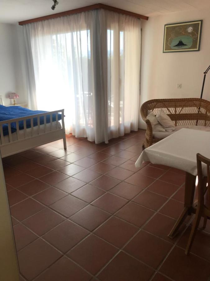 Casa Vignole-Badasci Orselina Exterior photo